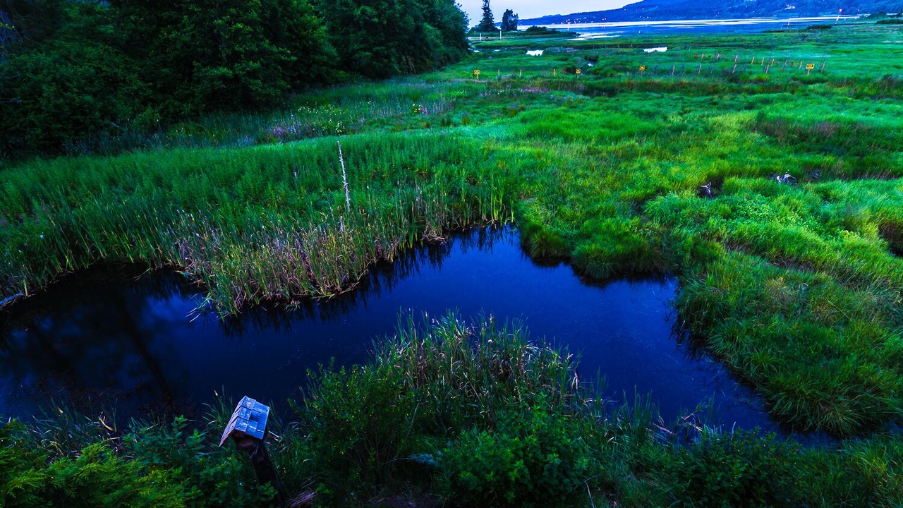 Photo of Outdoor in Regional District of Nanaimo