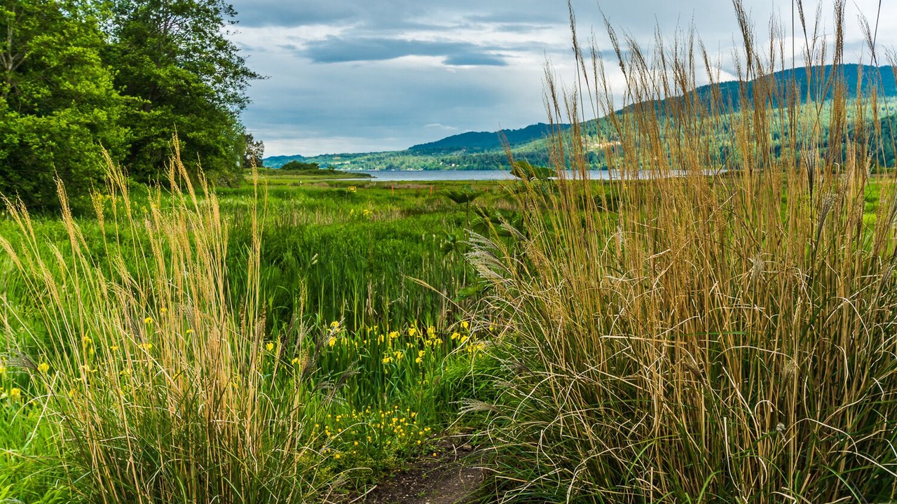 Photo of Outdoor in Regional District of Nanaimo