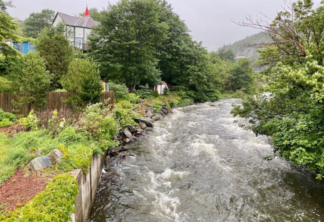 Photo of Outdoor in Quidi Vidi