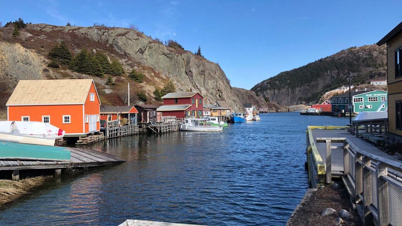 Photo of Others in Quidi Vidi