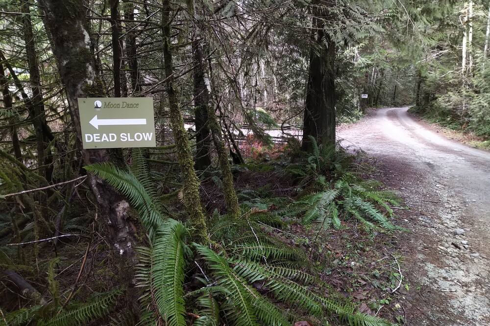 Photo of Outdoor in Madeira Park