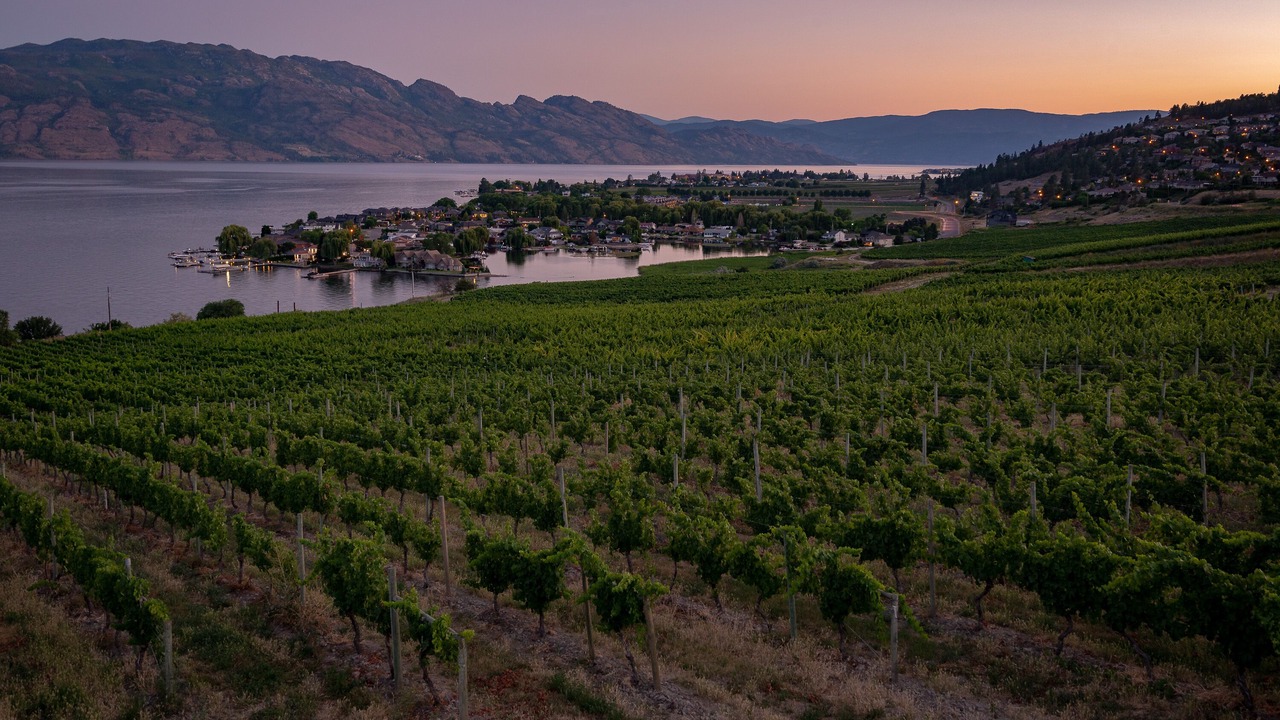 Photo of Others in Central Okanagan