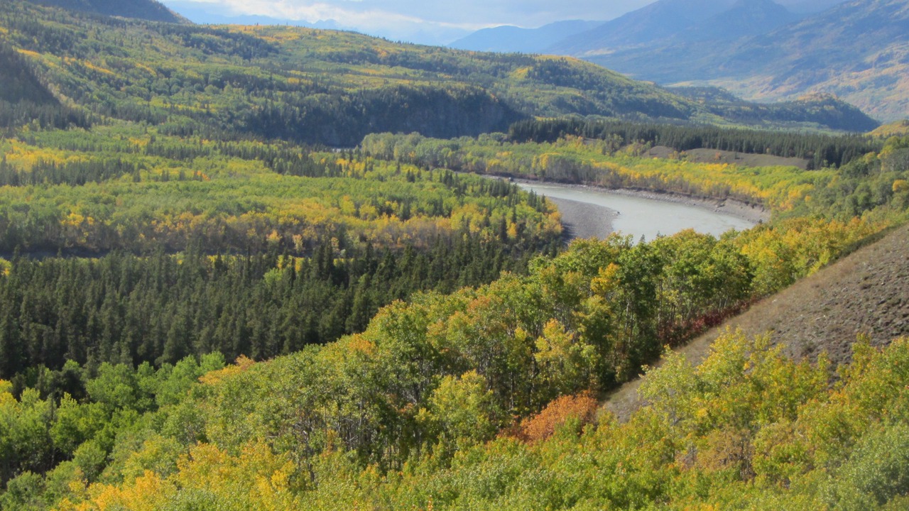 Photo of Outdoor in Telegraph Creek