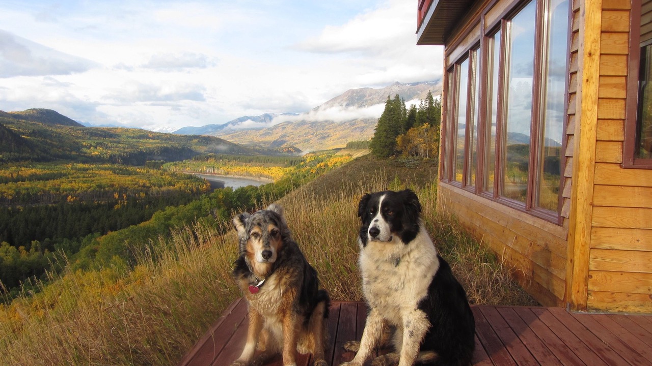 Photo of Outdoor in Telegraph Creek