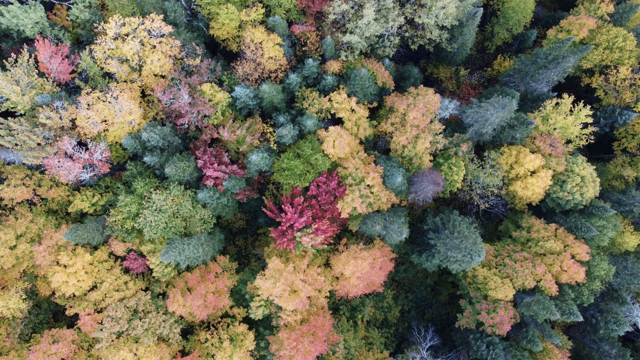Photo of Outdoor in Mauricie