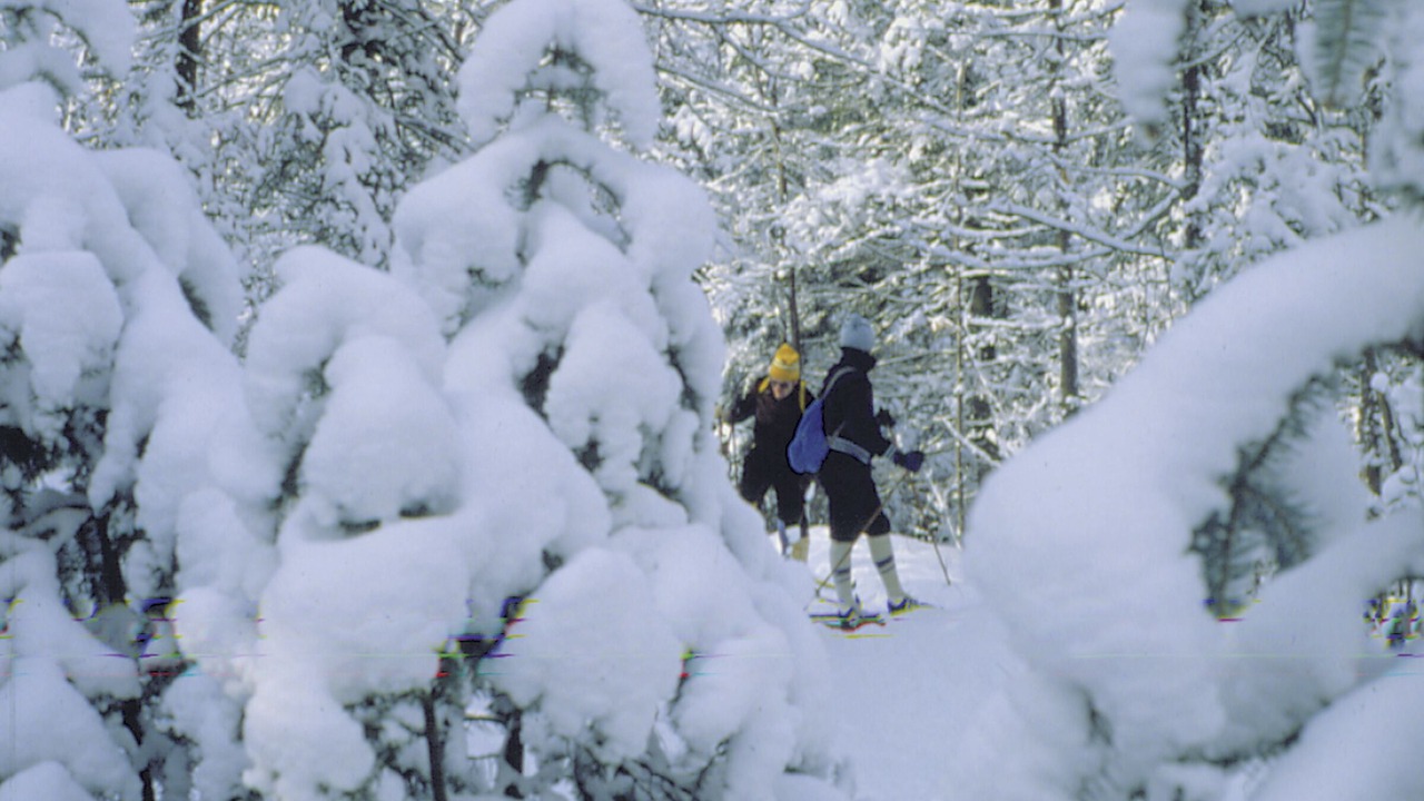 Photo of Others in Val Morin