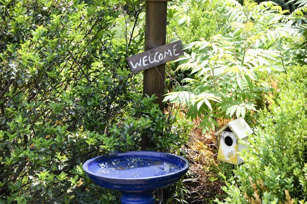 Photo of Outdoor in New Ross