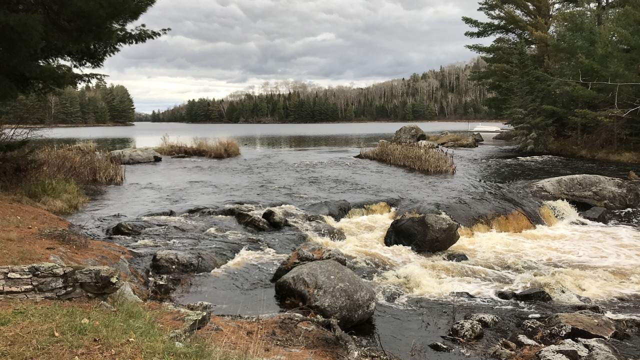 Photo of Others in Rainy River District