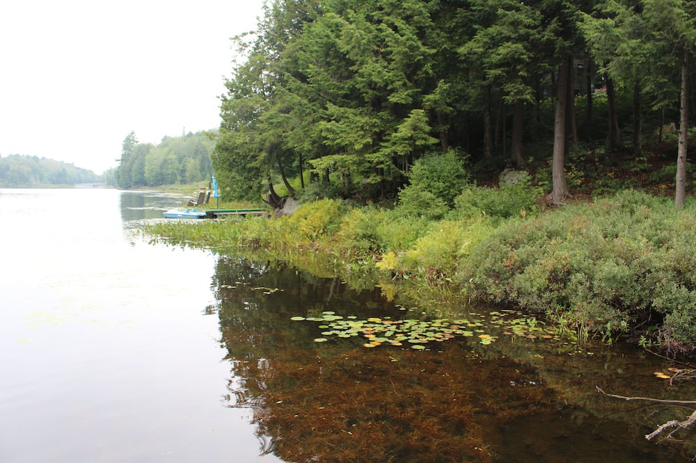 Photo of Outdoor in Gore