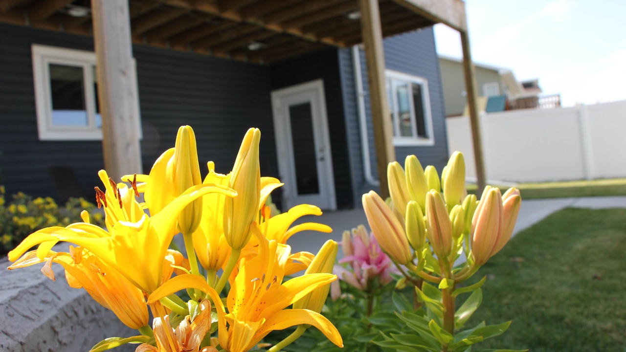 Photo of Outdoor in Red Deer