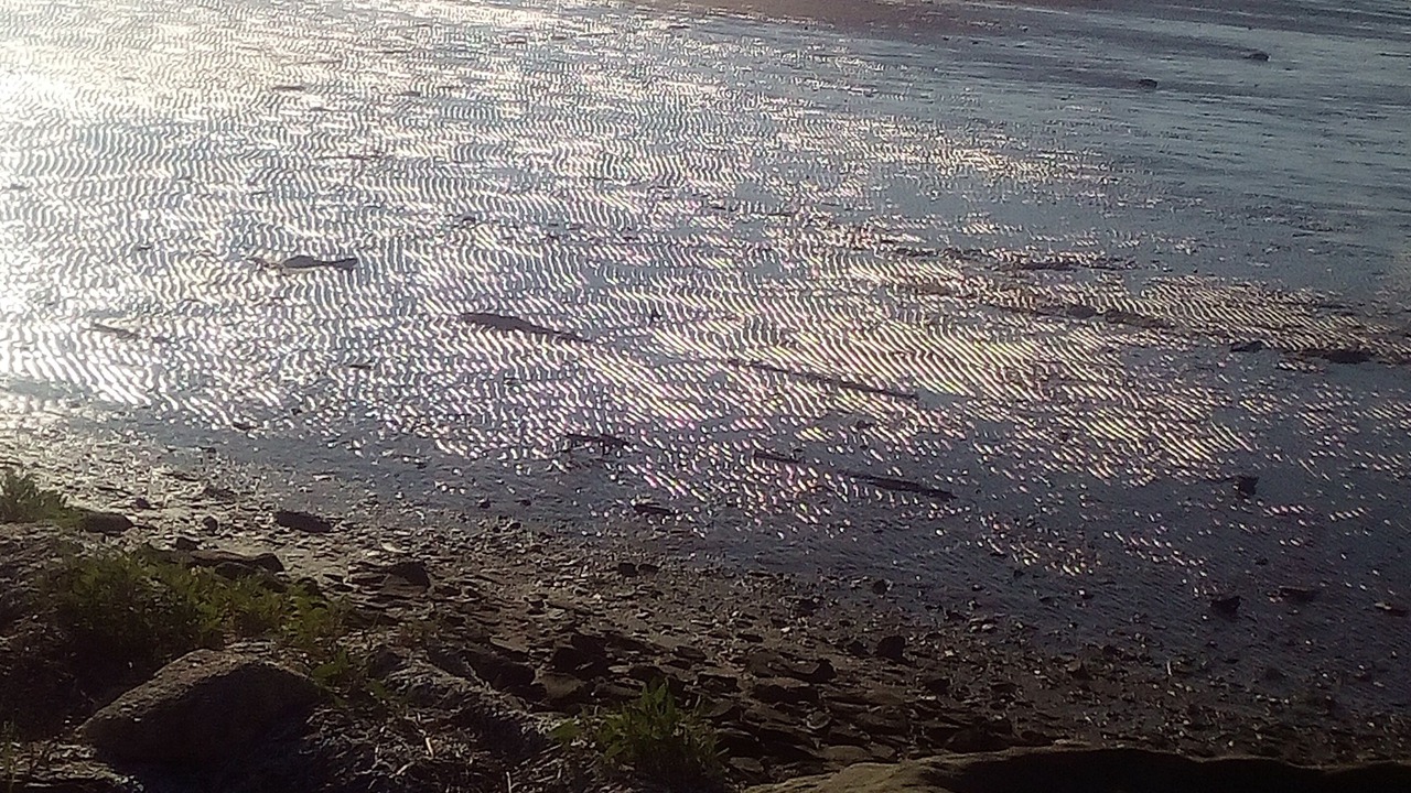 Photo of Others in Shemogue