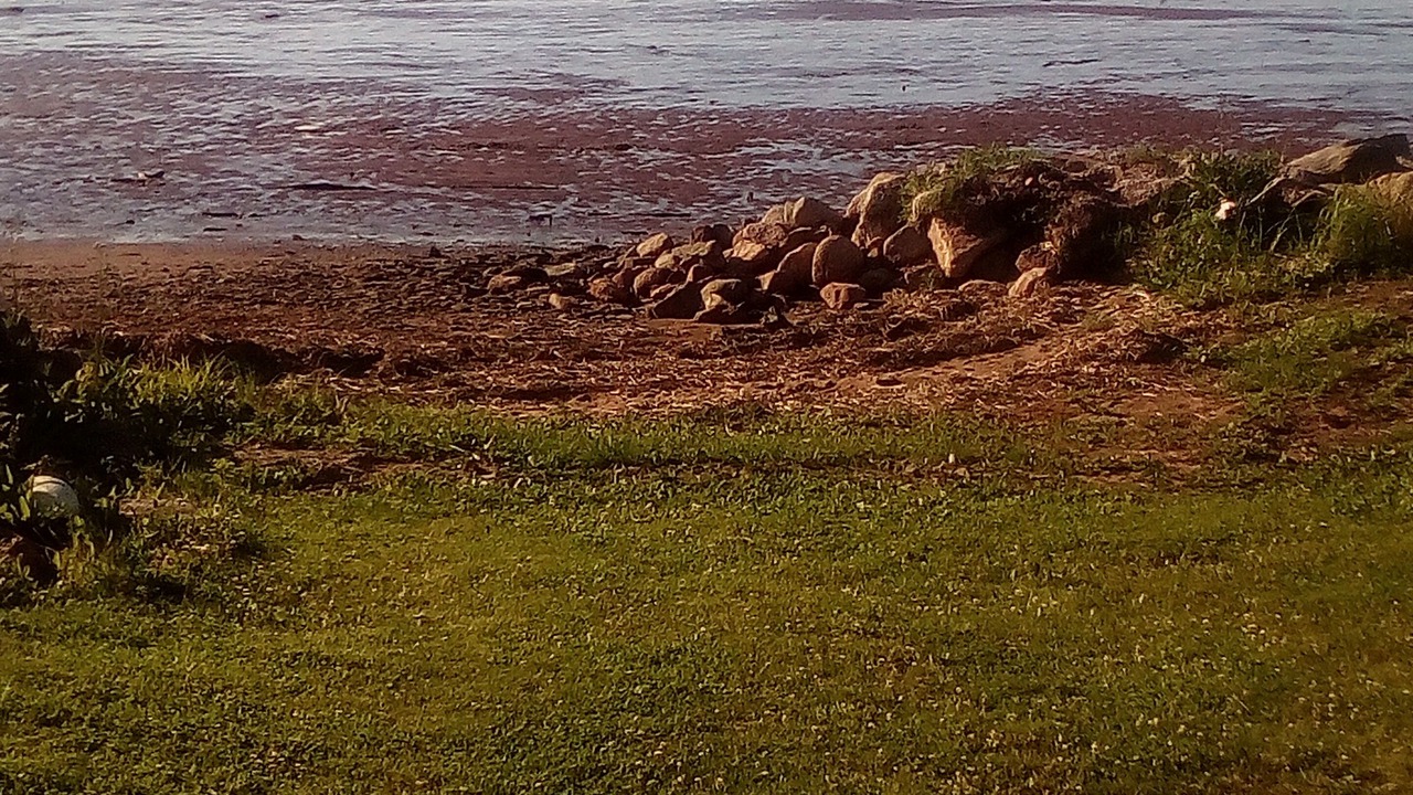 Photo of Others in Shemogue