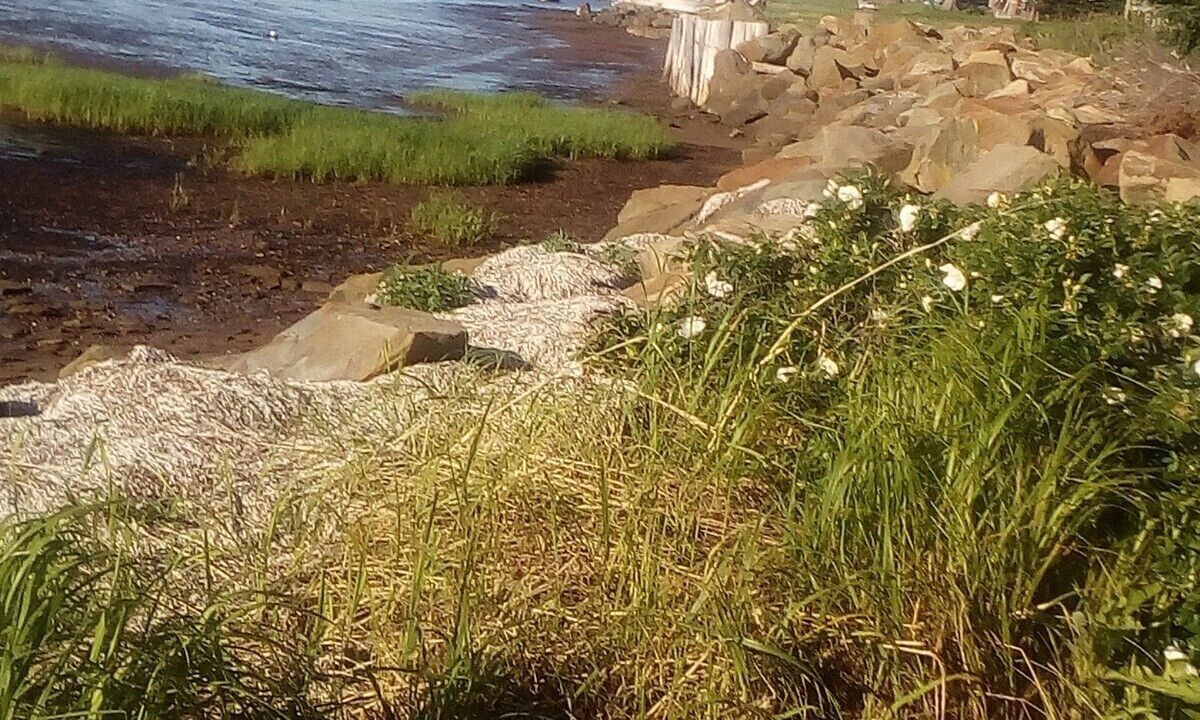Photo of Outdoor in Shemogue