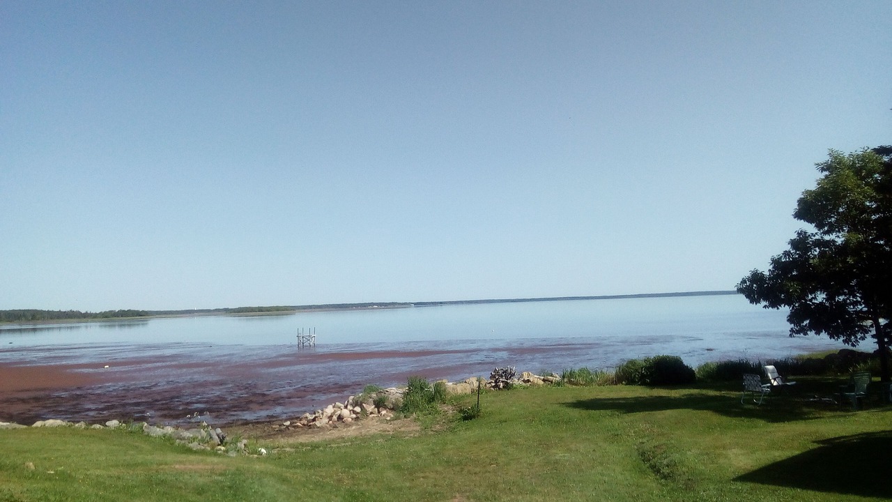Photo of Others in Shemogue