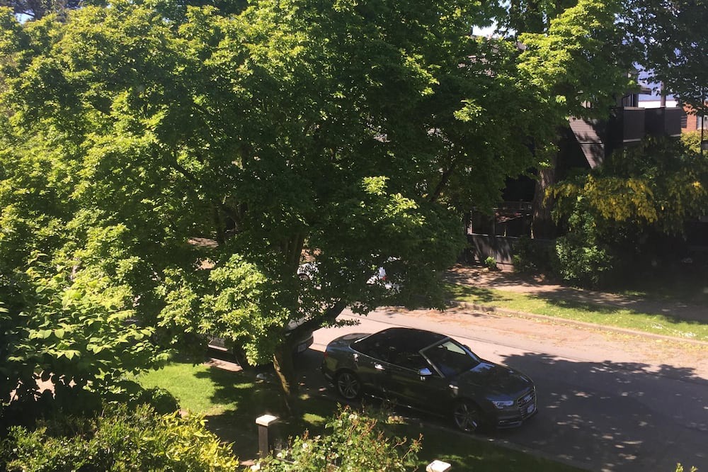 Photo of Others in Kitsilano
