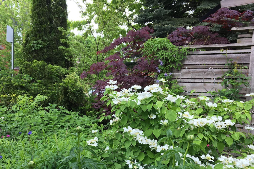Photo of Outdoor in Bracondale Hill