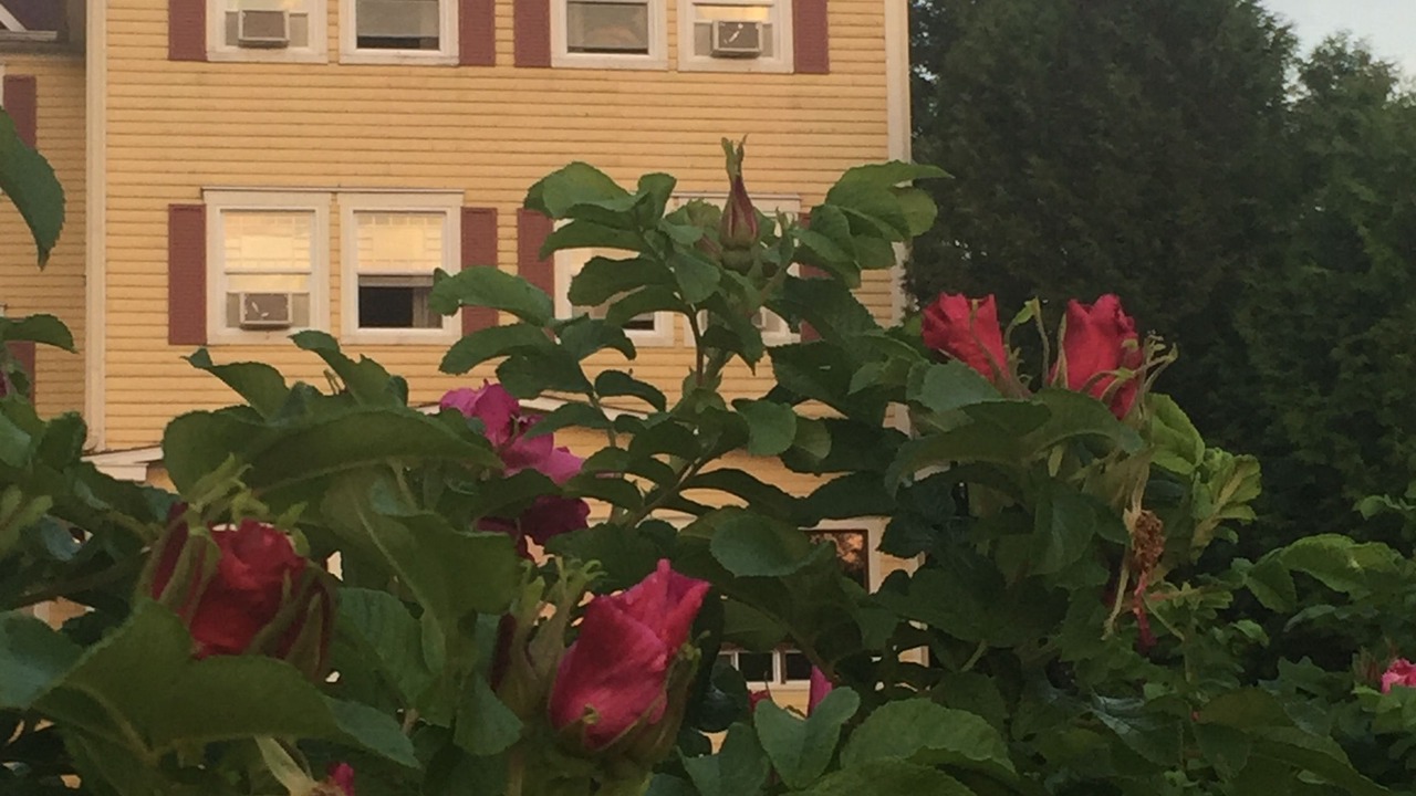 Photo of Outdoor in Lac-Megantic