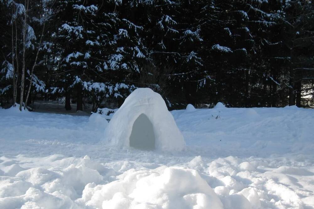 Photo of Others in Sherbrooke