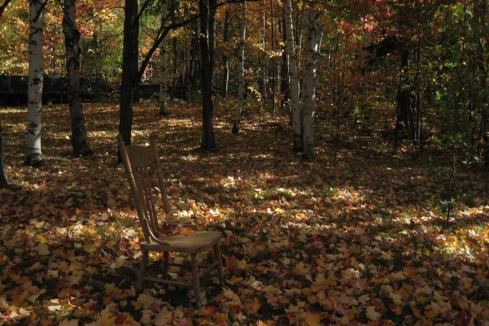 Photo of Outdoor in Sherbrooke