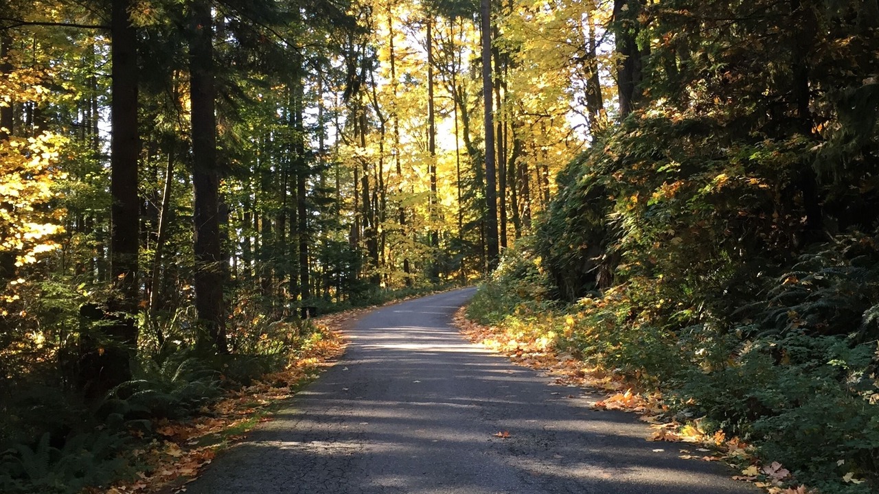 Photo of Outdoor in District of North Vancouver