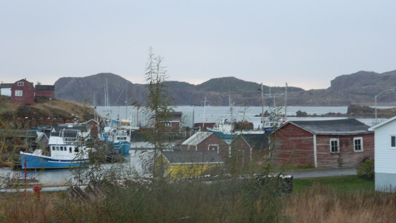 Photo of Outdoor in Twillingate
