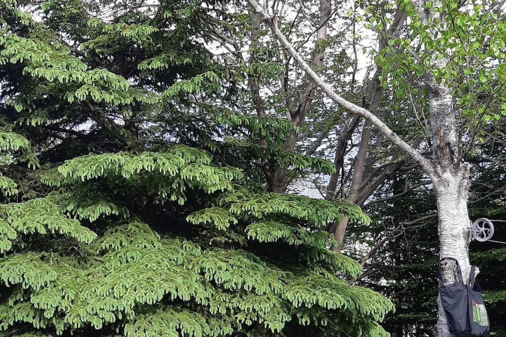 Photo of Others in Timberlea