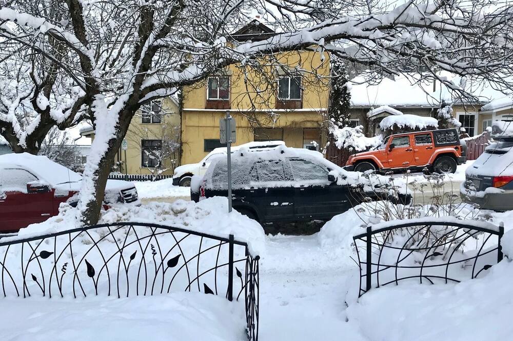 Photo of Others in Nelson