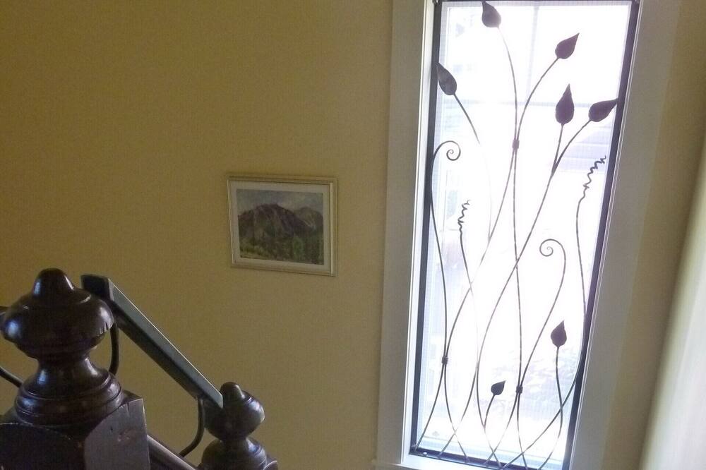 Photo of Others in Nelson