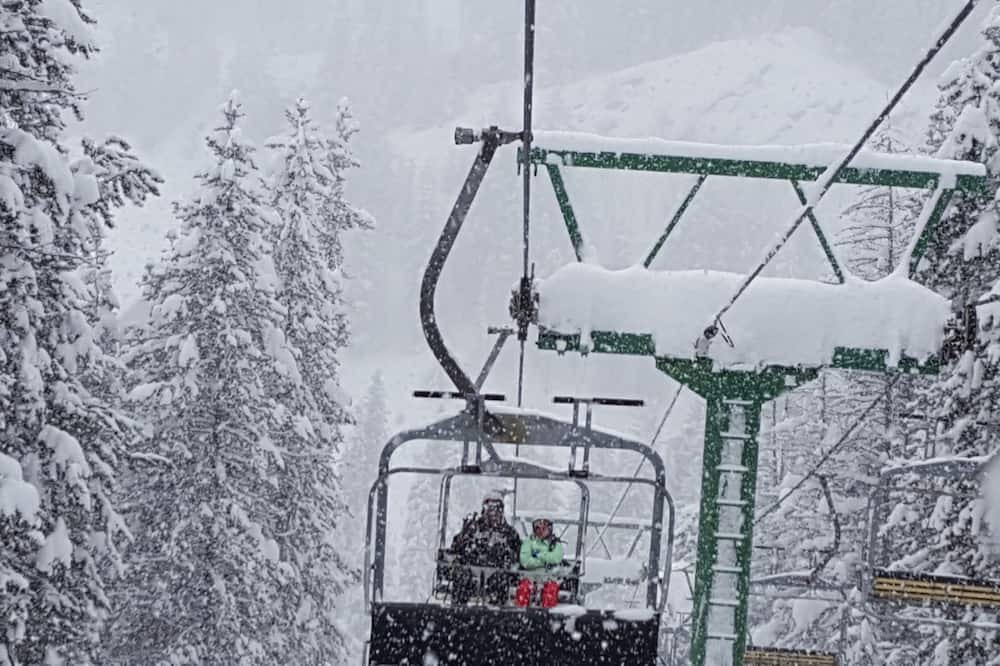 Photo of Others in East Kootenay