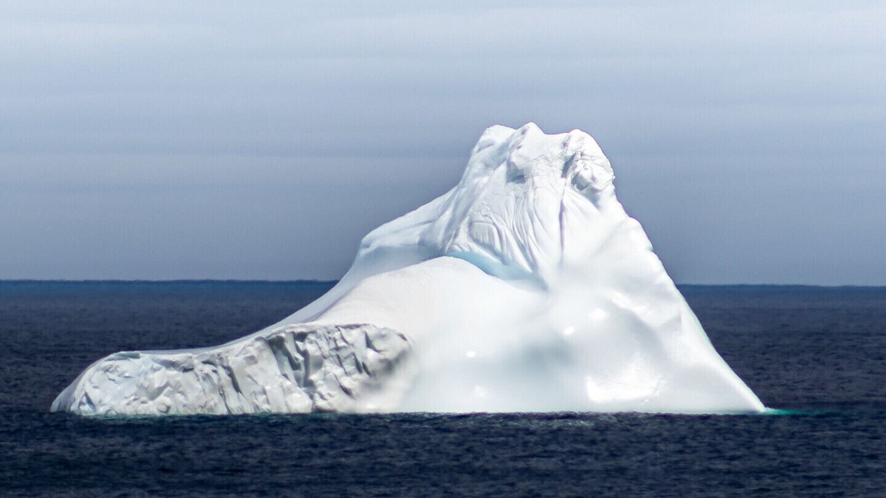Photo of Others in Pouch Cove