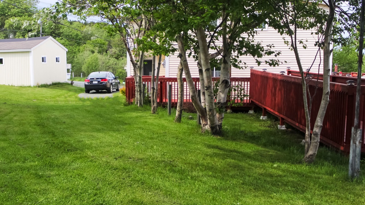 Photo of Outdoor in Pouch Cove