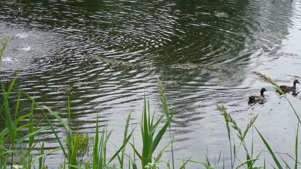 Photo of Outdoor in Shefford