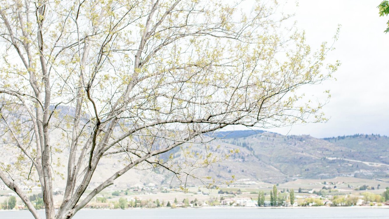 Photo of Outdoor in Okanagan-Similkameen