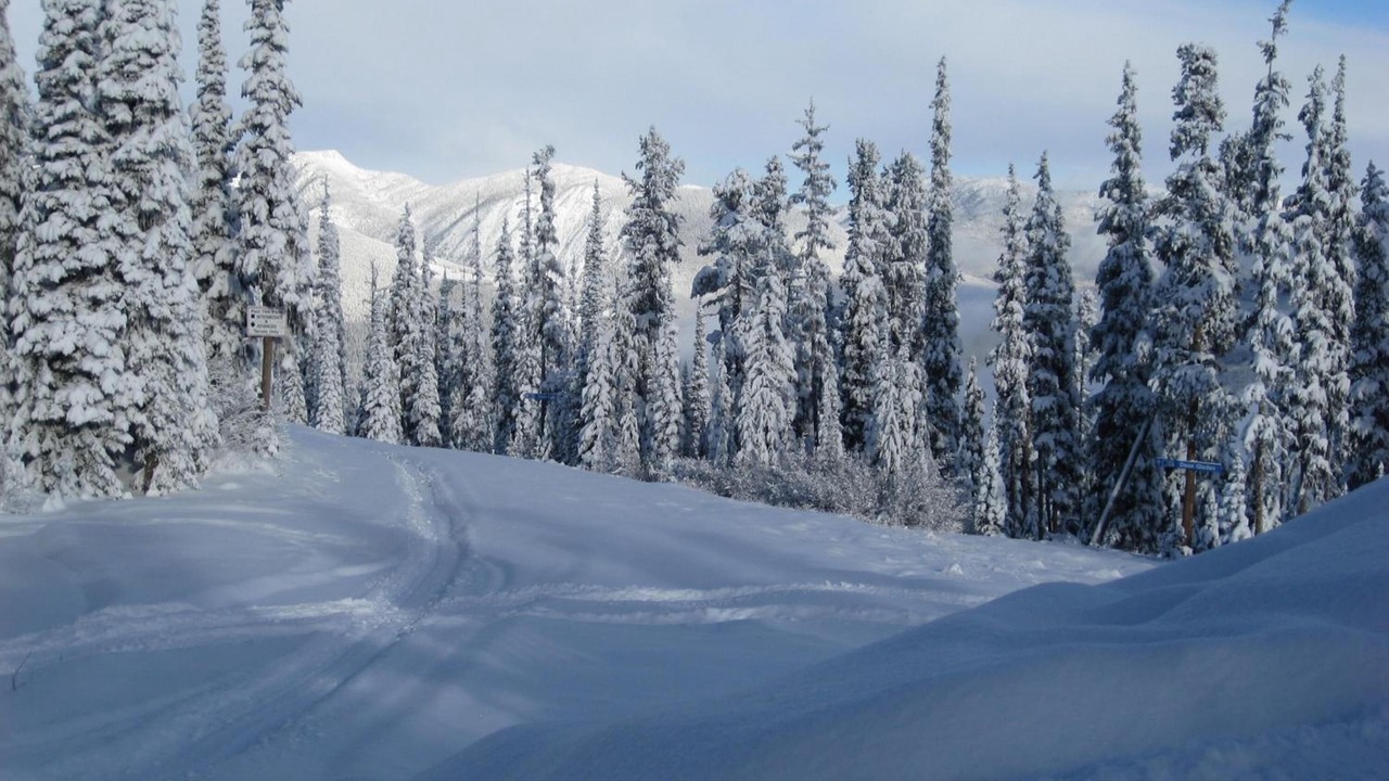 Photo of Others in East Kootenay