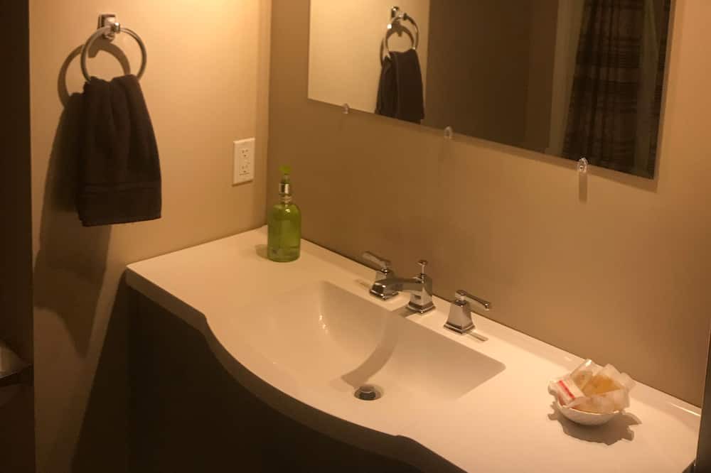 Photo of Bathroom in Downtown Niagara Falls