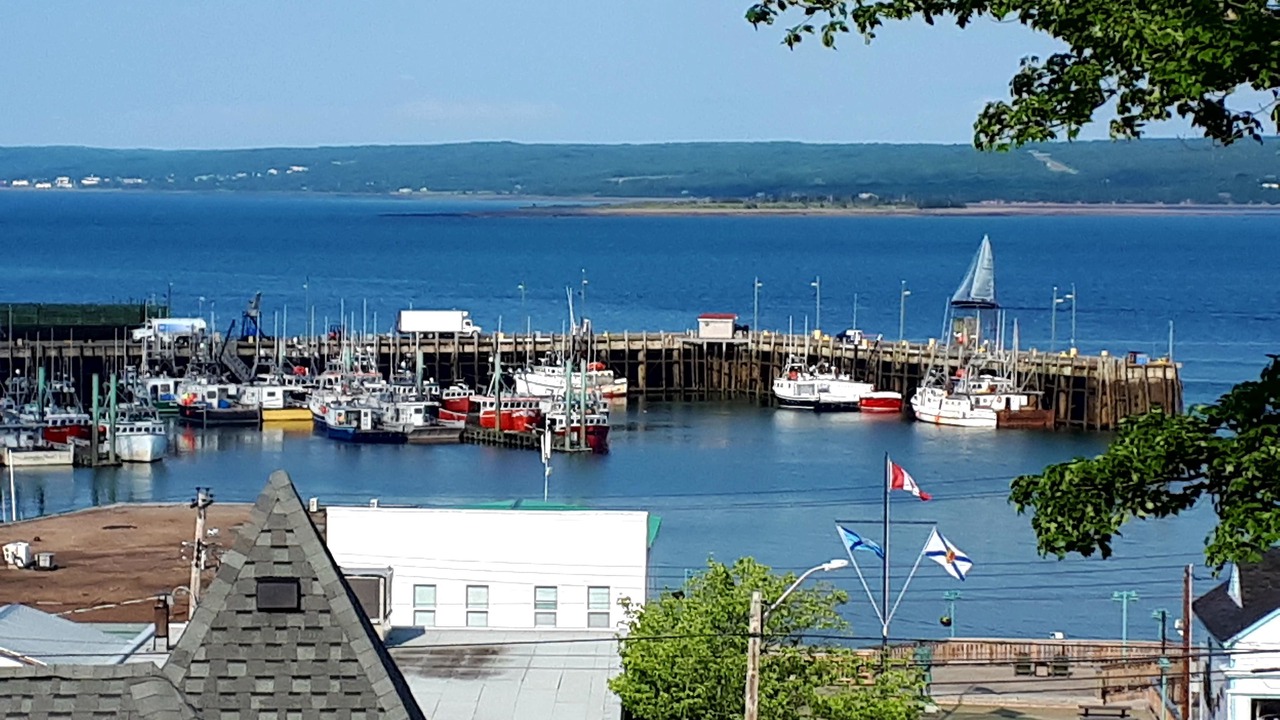 Photo of Others in Digby