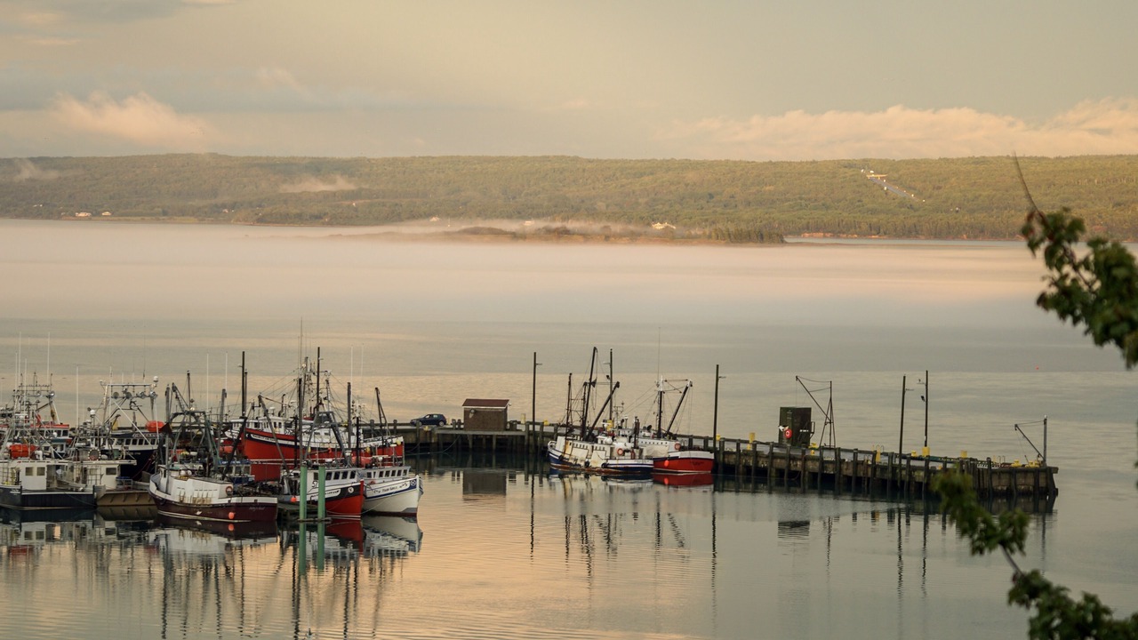 Photo of Others in Digby