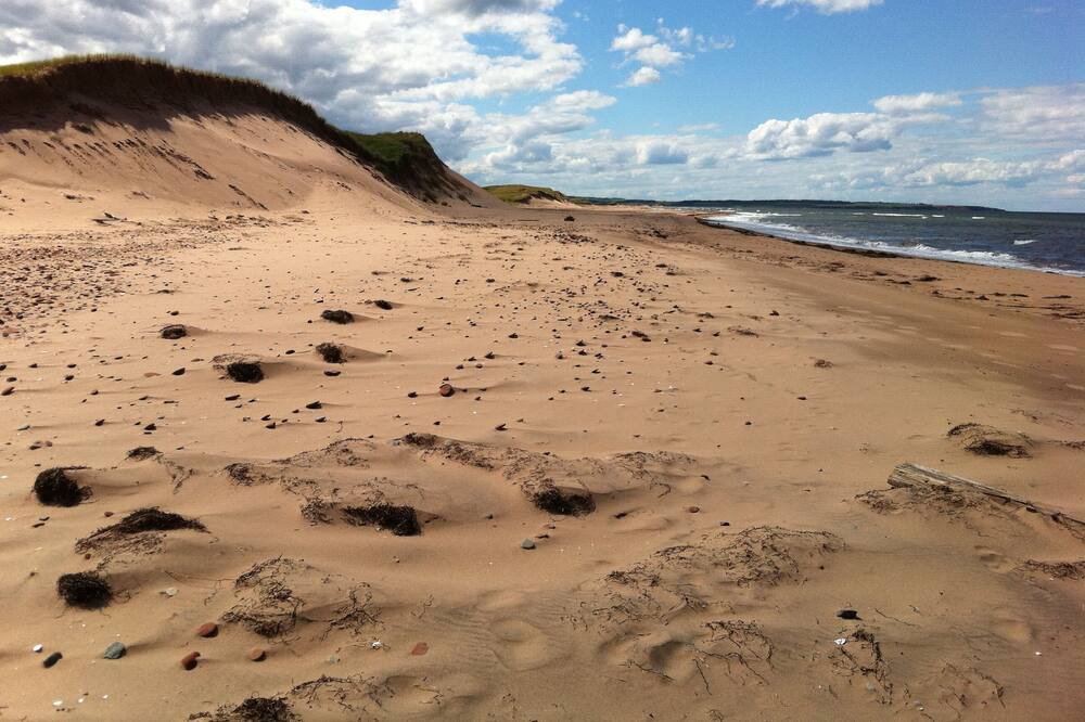 Photo of Others in North Rustico