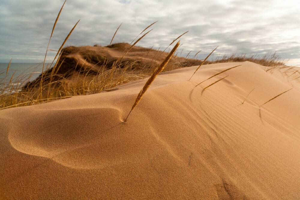 Photo of Others in North Rustico