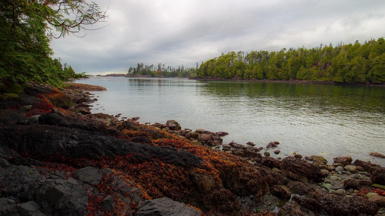 Photo of Others in Ucluelet