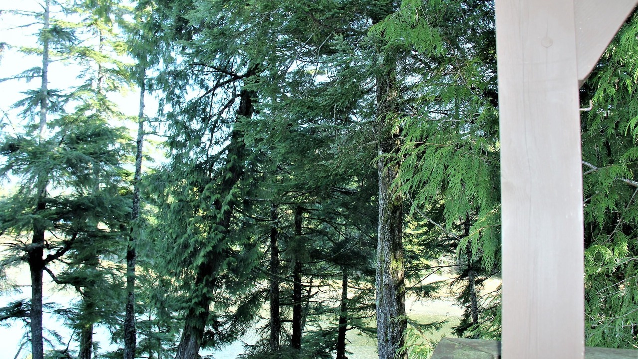 Photo of Others in Ucluelet