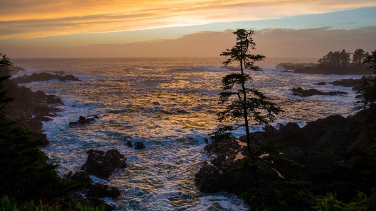 Photo of Others in Ucluelet