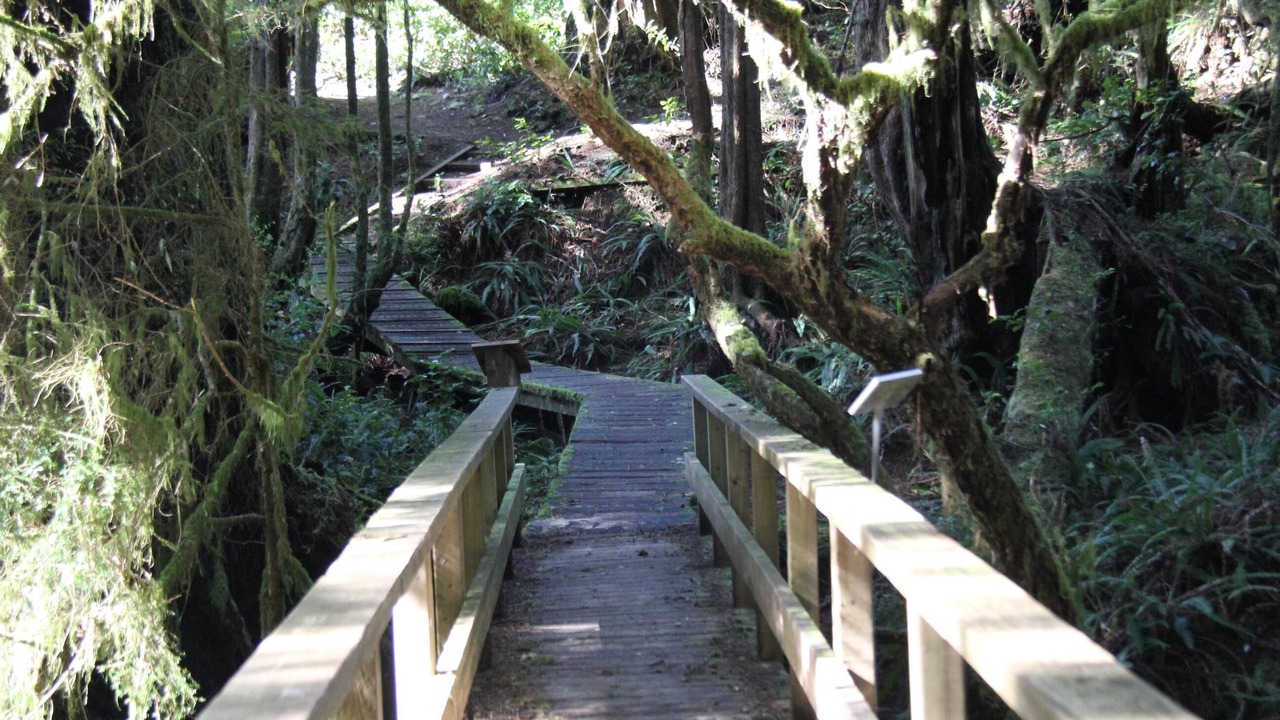 Photo of Others in Ucluelet