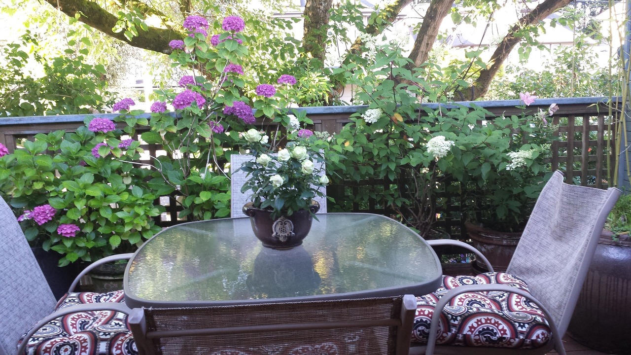Photo of Patio Balcony in Kitsilano