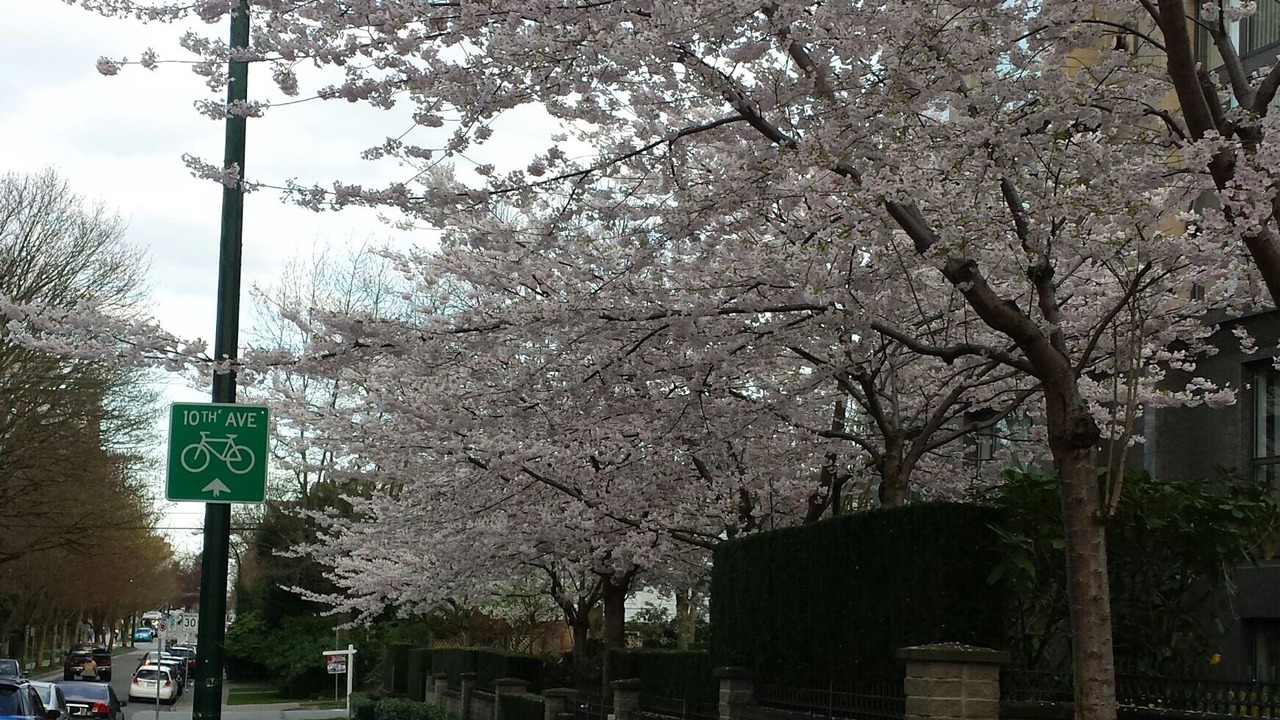 Photo of Outdoor in Kitsilano