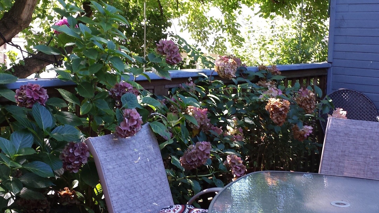 Photo of Outdoor in Kitsilano