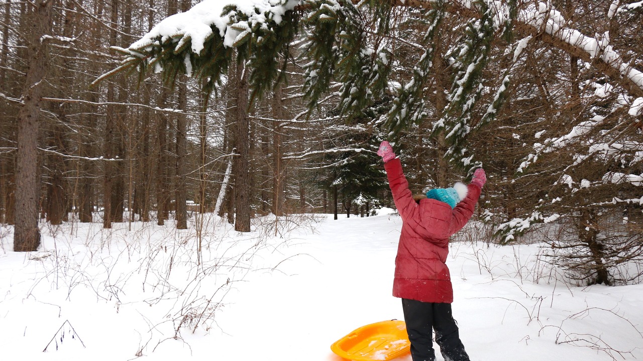 Photo of Others in Huberdeau