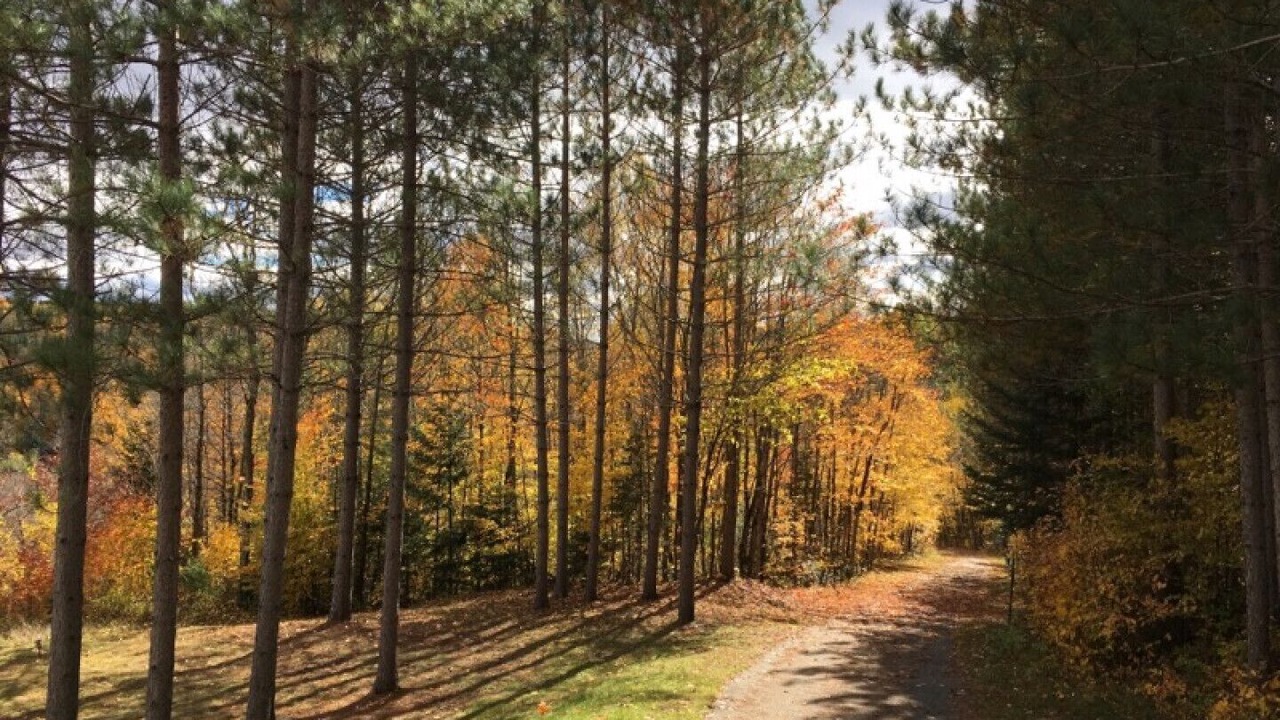 Photo of Outdoor in Huberdeau