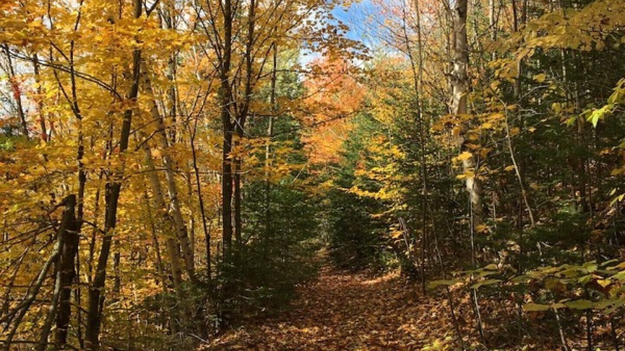 Photo of Outdoor in Huberdeau