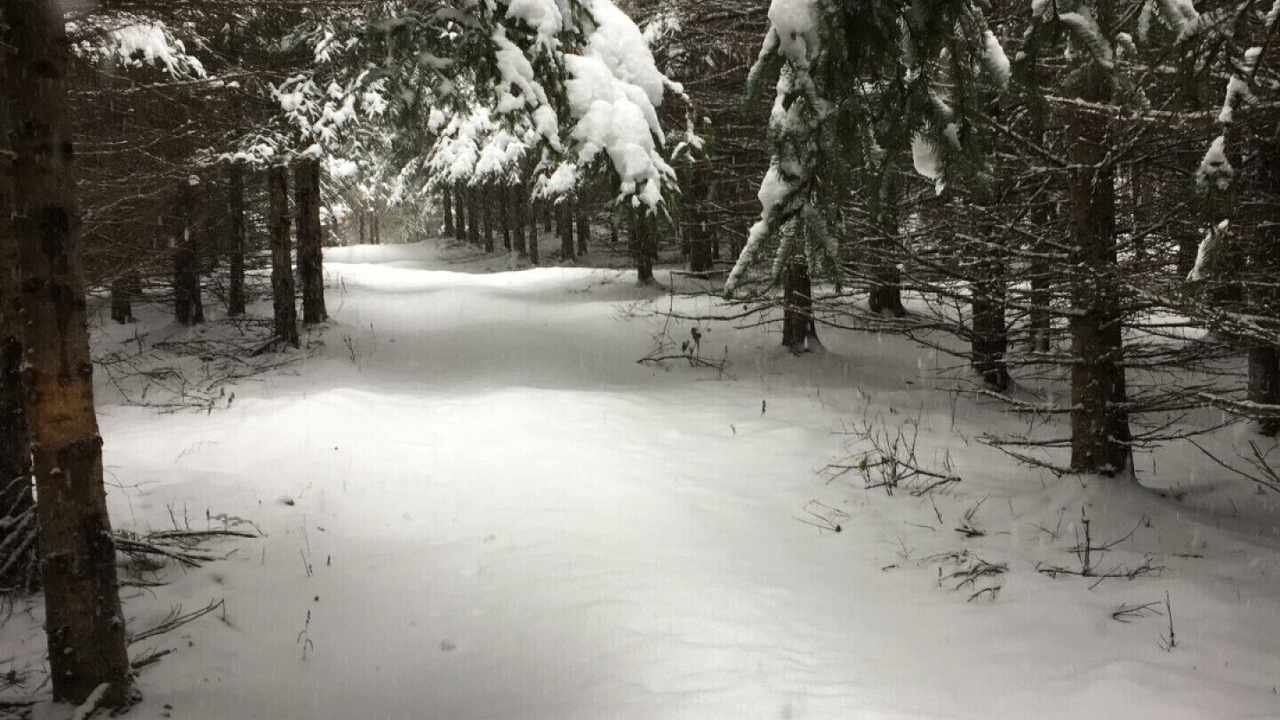 Photo of Outdoor in Huberdeau